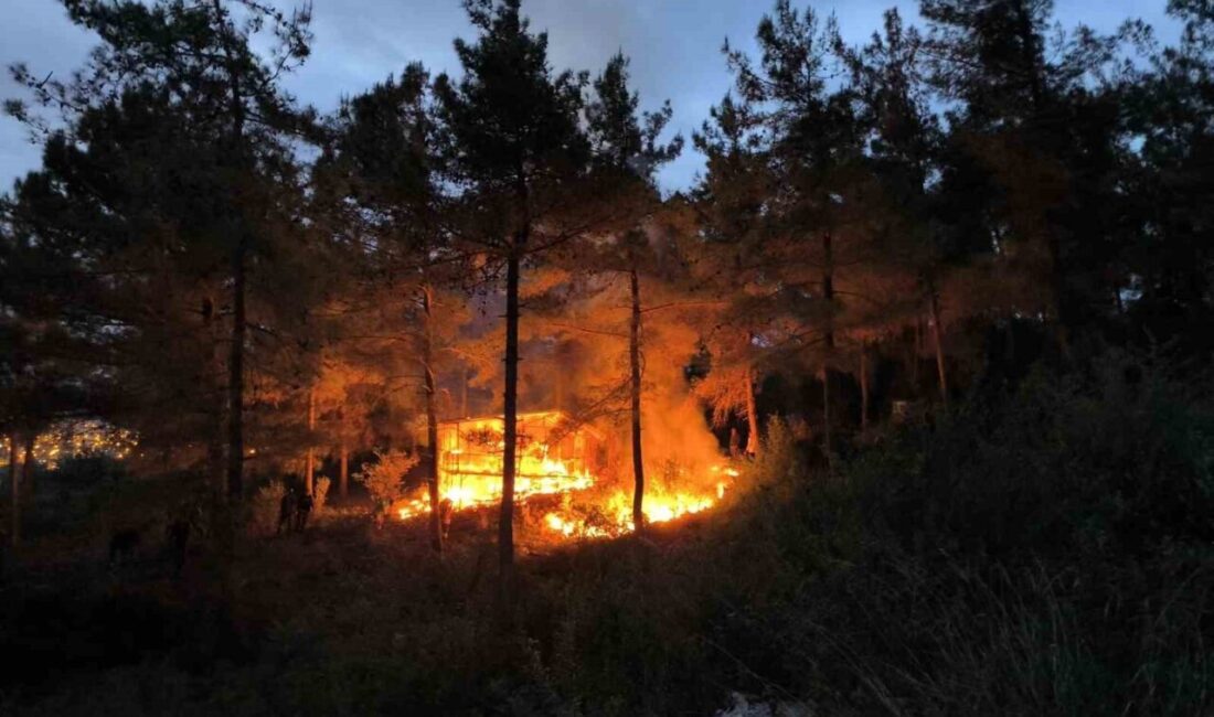 Hatay’da alevlere teslim olan barakadaki yangın ormana sıçramadan söndürüldü. Yangın,