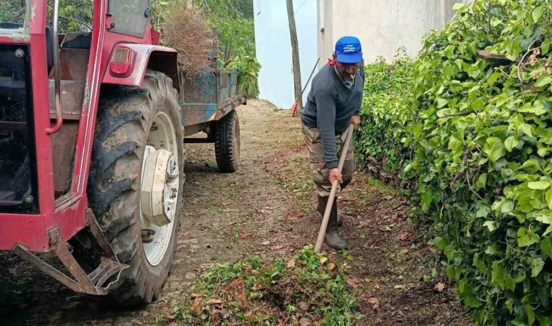Karacasu Belediyesi ekipleri, ilçeye bağlı Kahvederesi Yaylası’nda temizlik ve ot
