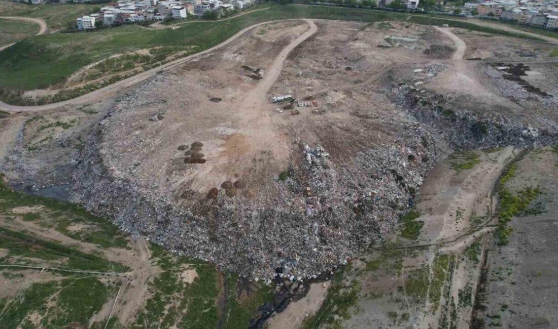 Bursa’da Osmangazi Belediyesi’ne ait olduğu öne sürülen hayvan barınağından Hamitler