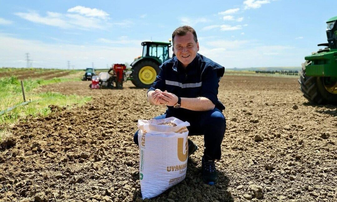 Silivri Belediyesi, belediyeye ait tarım arazilerinde ilk kez nohut ve