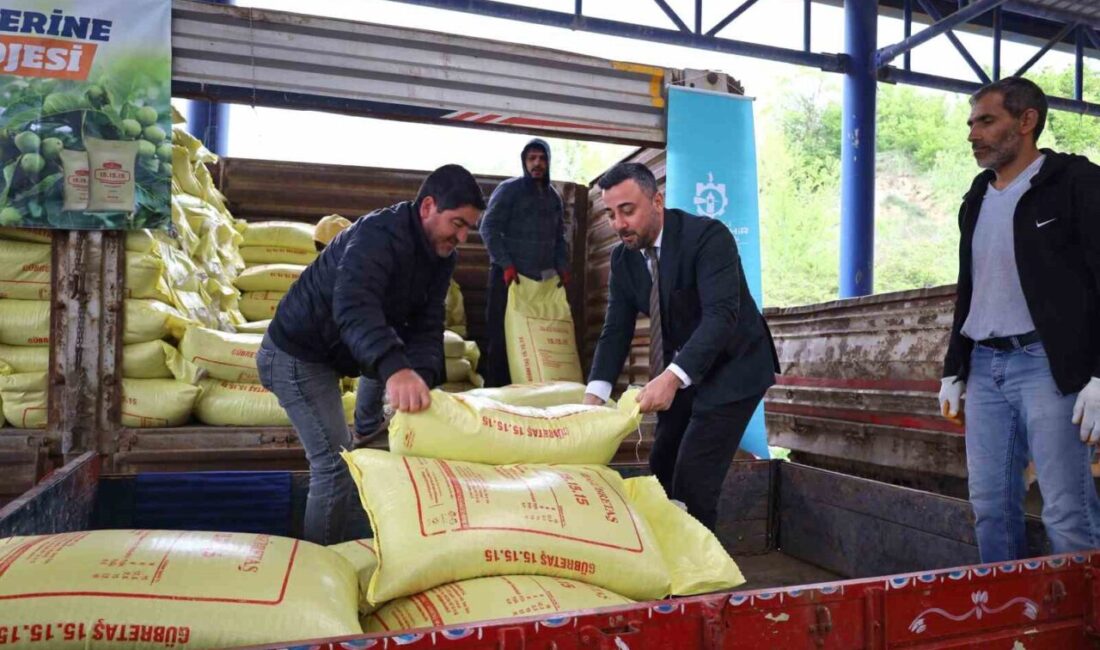 Kocaeli’de meyve ve sebze yetiştiriciliği yapan bin 785 üreticiye yüzde