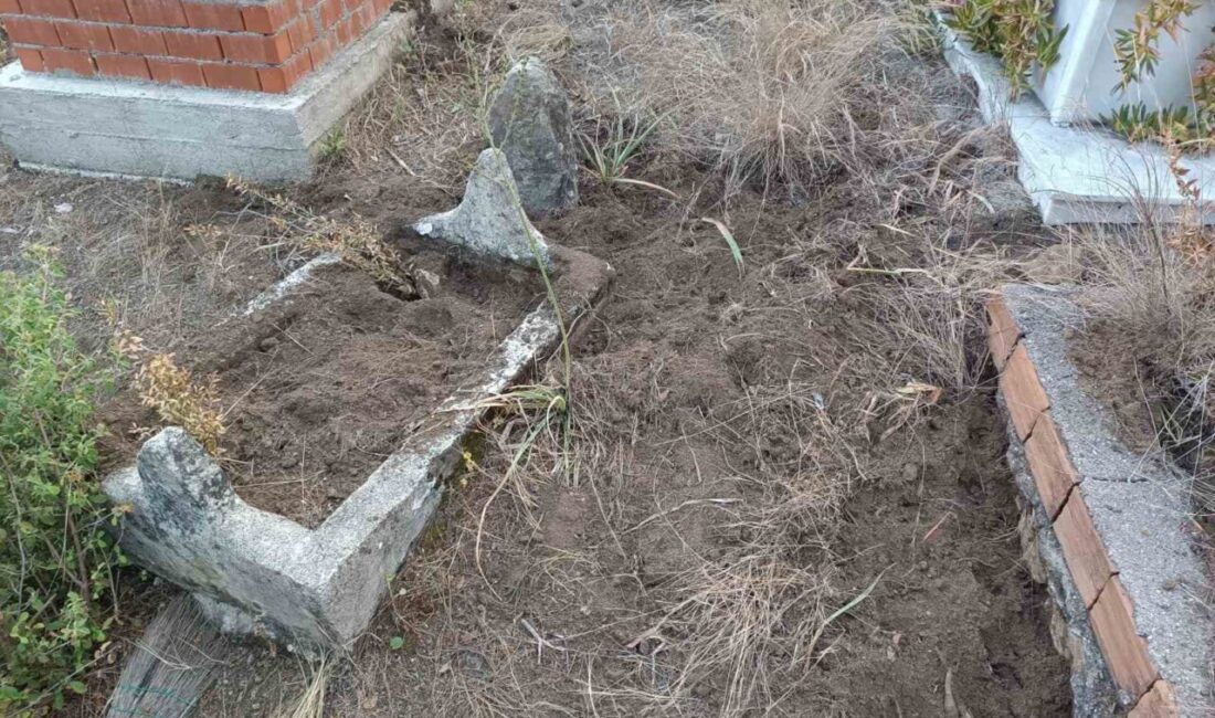 Antalya’nın Serik ilçesinde yaban domuzları mezarlara zarar verdi. Mahalle sakinleri