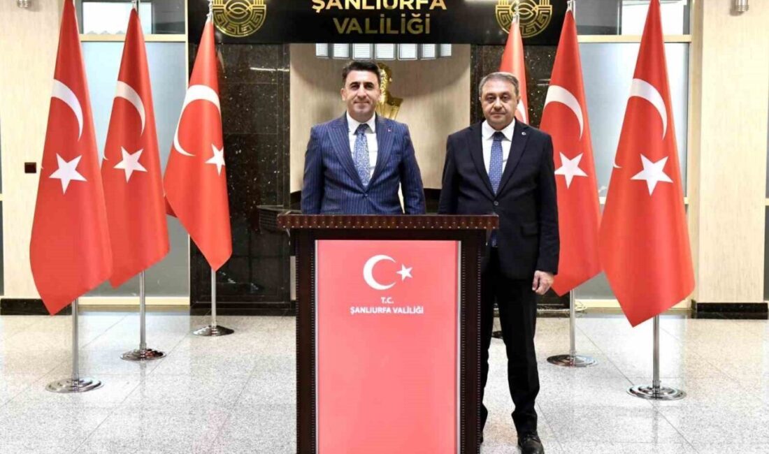 Bilecik Valisi Şefik Aygöl ve Şanlıurfa Valisi Hasan Şıldak, bölgesel