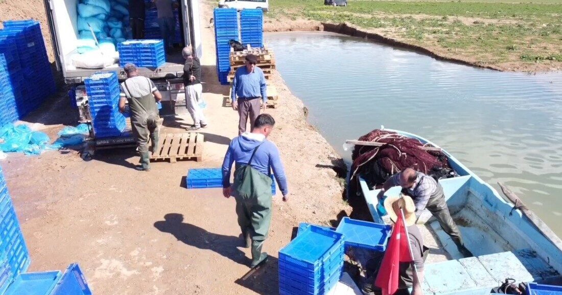 Yozgat’ın Çekerek ilçesindeki Çekerek Barajı’nda avlanan gümüş balıkları, işlenerek cips