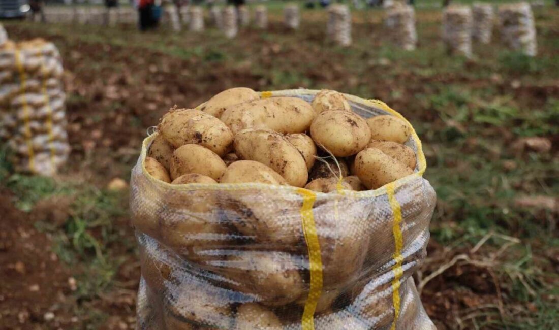Türkiye’ye son iki ay içerisinde yurt dışından gemilerle Mersin limanına