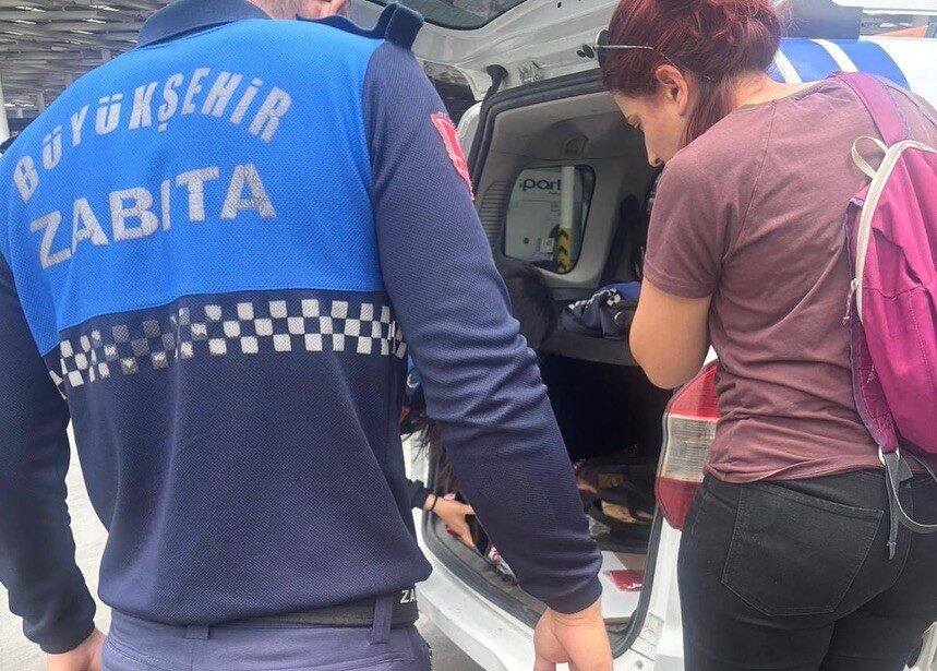 Muğla Büyükşehir Belediyesi Zabıta ekipleri tarafından Menteşe Otogarı’nda gerçekleştirilen denetimlerde,