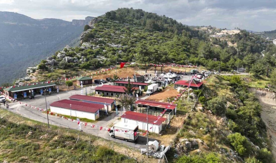 Mersin’de, Büyükşehir Belediyesi tarafından sahipsiz hayvanlara güvenli, sağlıklı ve doğal