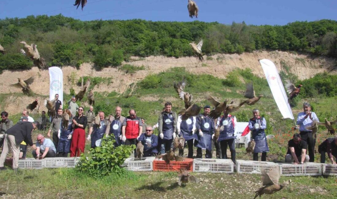 Doğa Koruma ve Milli Parklar Genel Müdürlüğü tarafından üretimi yapılan