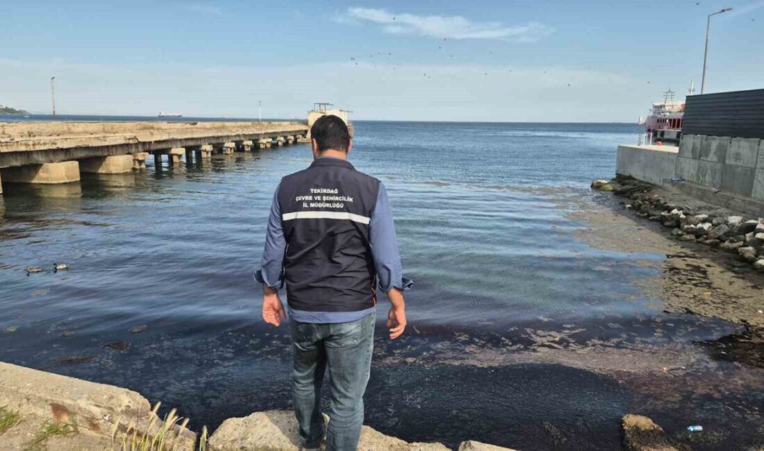 Tekirdağ’ın Süleymanpaşa sahilinde kızıl yosun, alg ve plankton patlaması nedeniyle